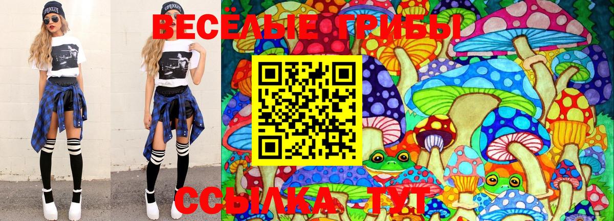 Лабинск  Псилоцибиновые грибы Magic Shrooms  Галлюциногенные грибы Psilocybine cubensis  Вход с VPN 